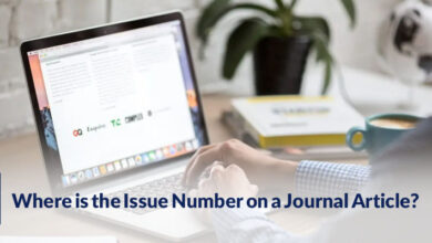 Where is the Issue Number on a Journal Article