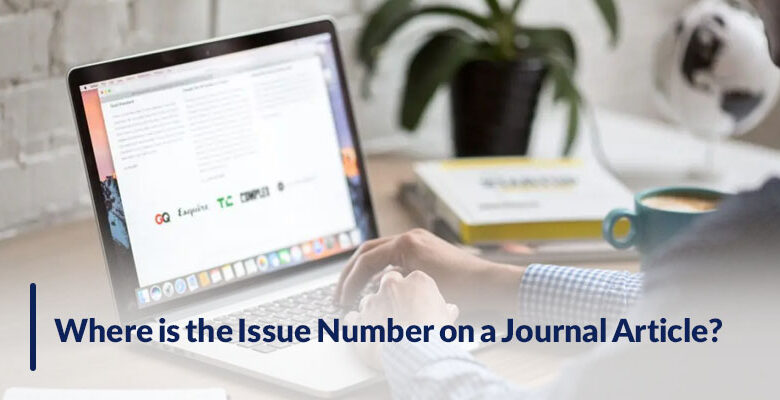Where is the Issue Number on a Journal Article